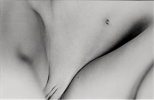 Image description is not available for 1999.044